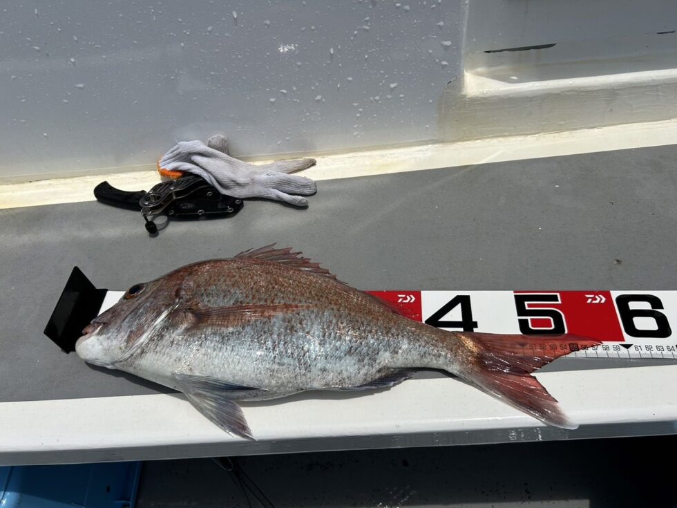 58㎝!他にも大型バラシあり