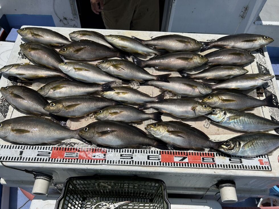 善は急げ!明日(金)かなり空き多数