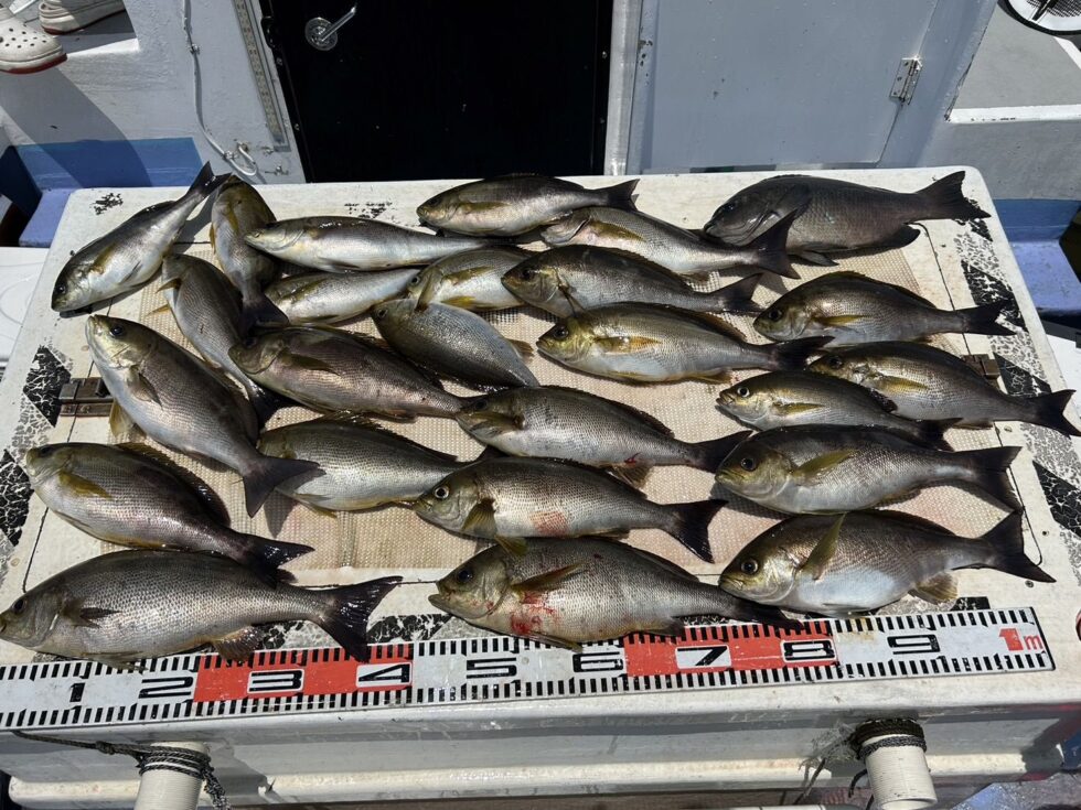 凄いことになってます!