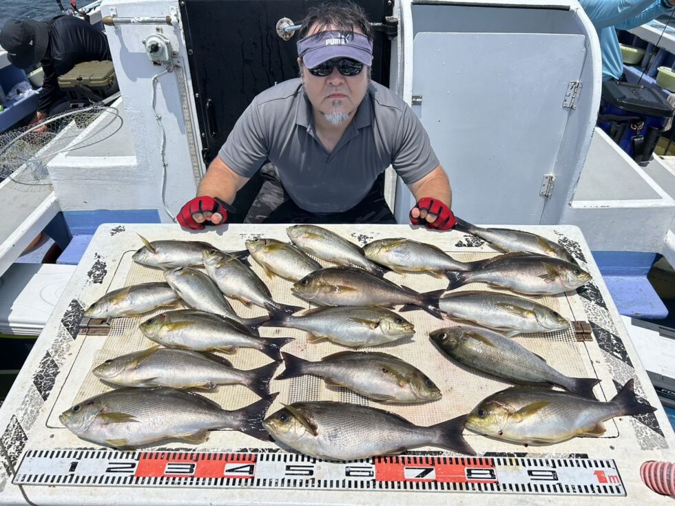 絶品イサキ大チャンス!