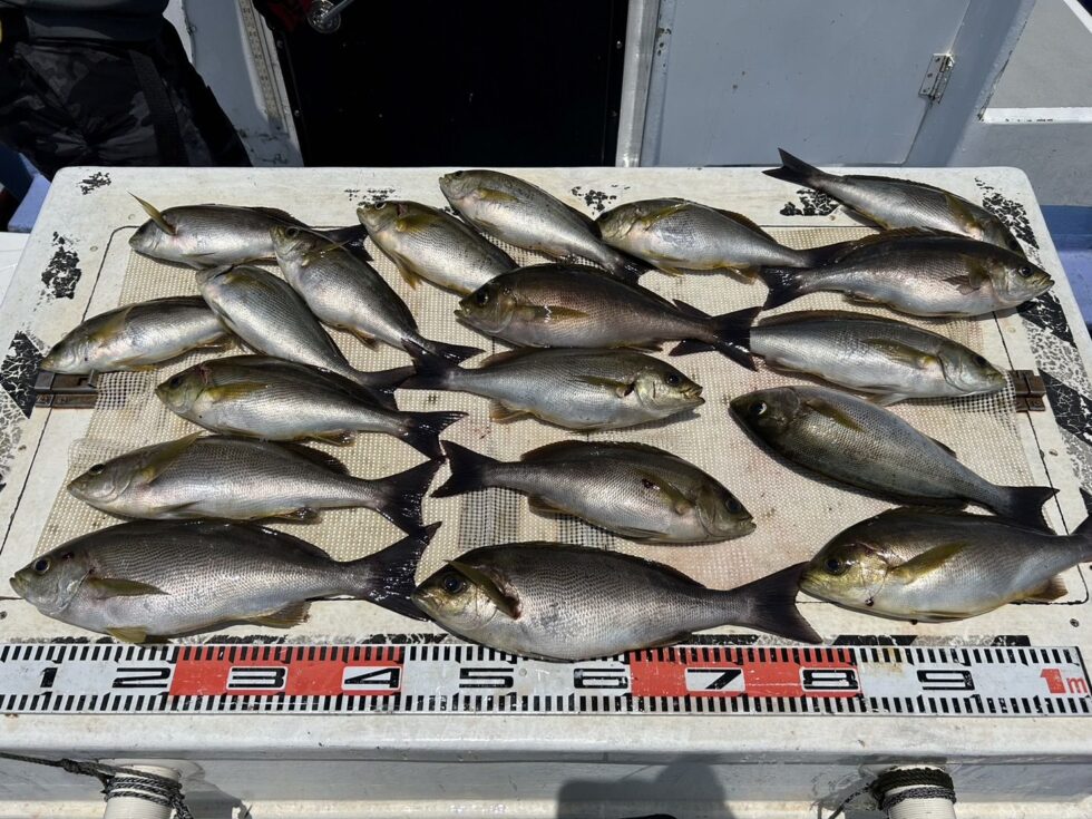 皆さんぼこぼこ!