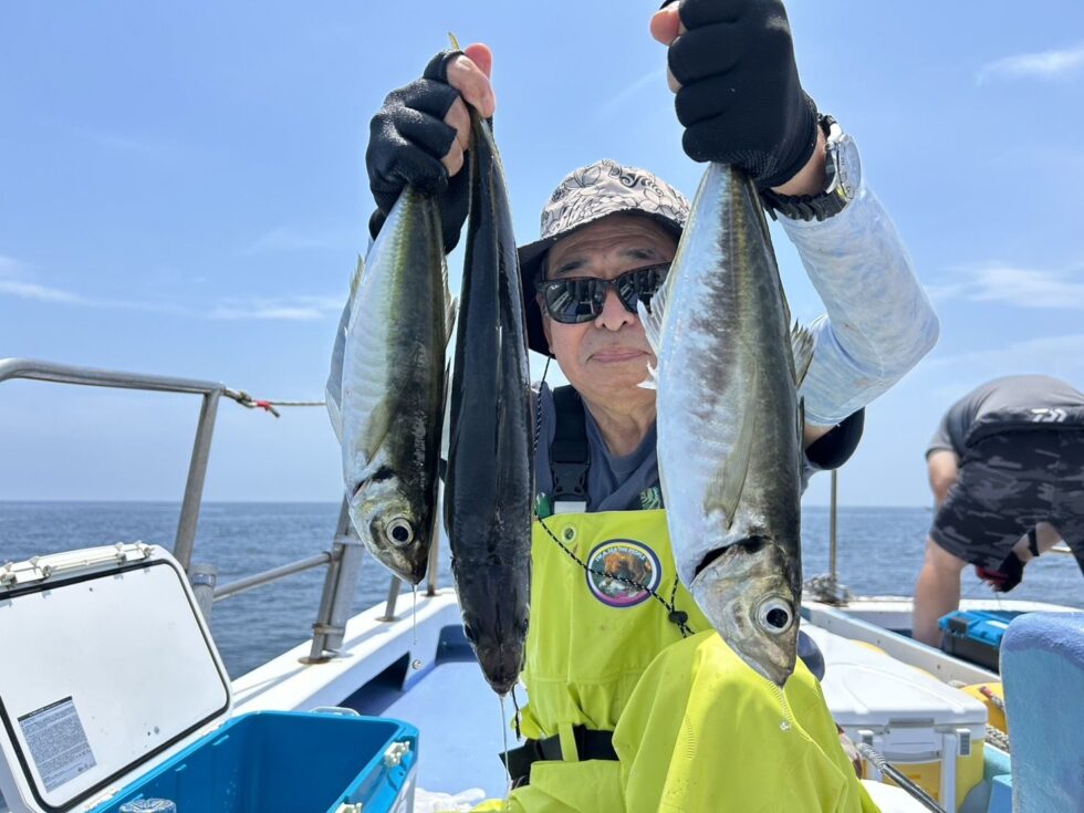 大アジ嬉しいー