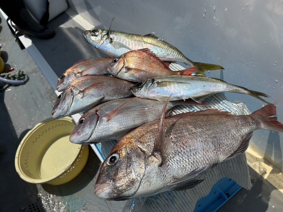 伊勢湾一つテンヤが熱いっ！