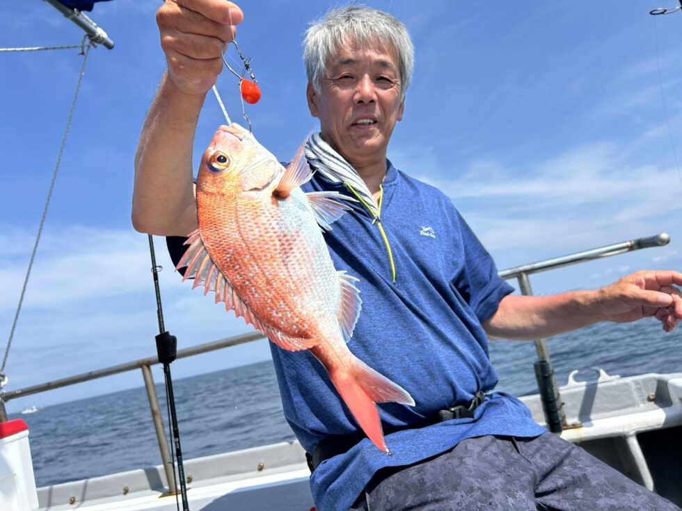 マダイぼこぼこー!