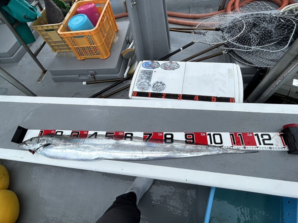 誘う、アタリを出す、掛ける!テンヤタチウオゲーム!