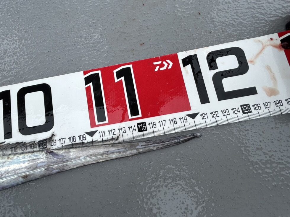 尾切れでしたが初日からドラゴンキャッチ!