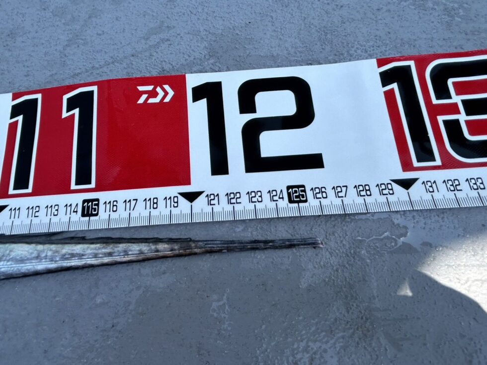 素晴らしい!