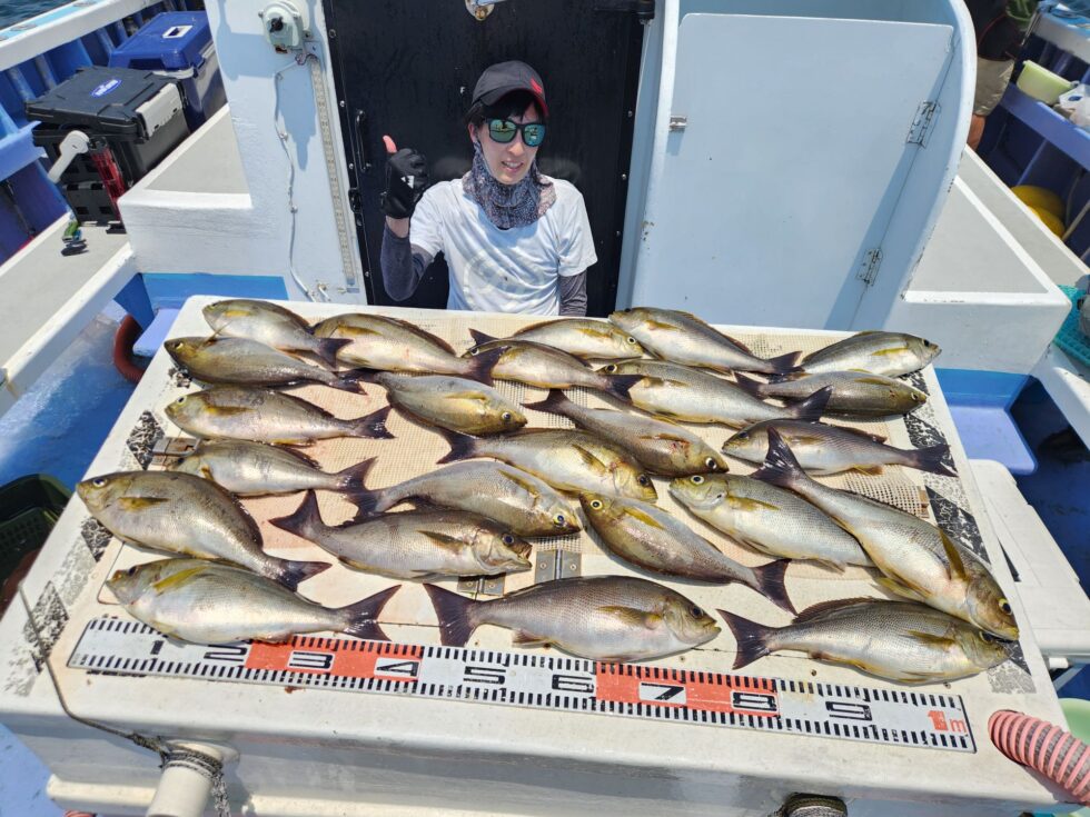 今日も大型イサキぼこぼこ！
