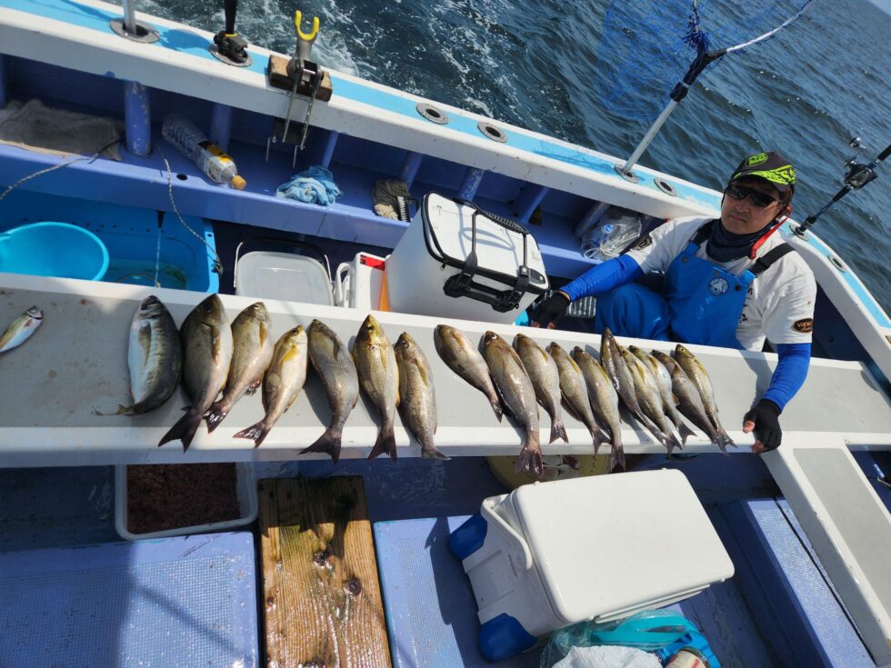 脂のりのり絶品です!