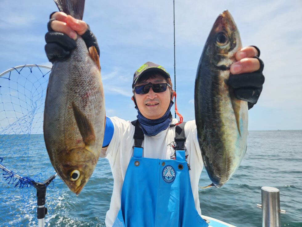 たまらんサイズ!