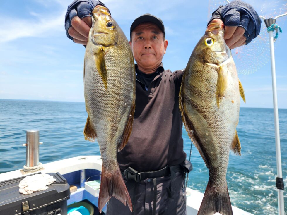 特大絶品イサキ!