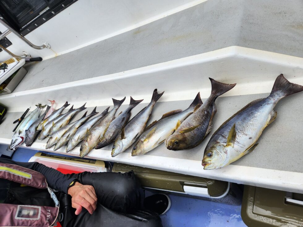 明日(月)かなり空きあります、是非どうぞ