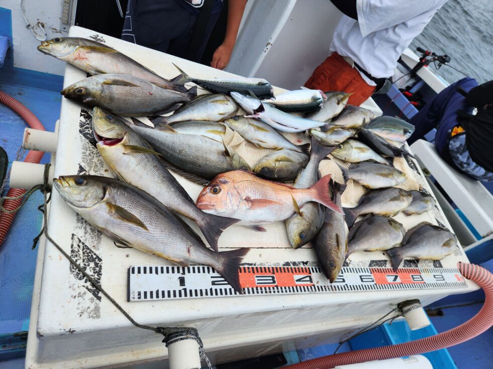 凄いことになってます!