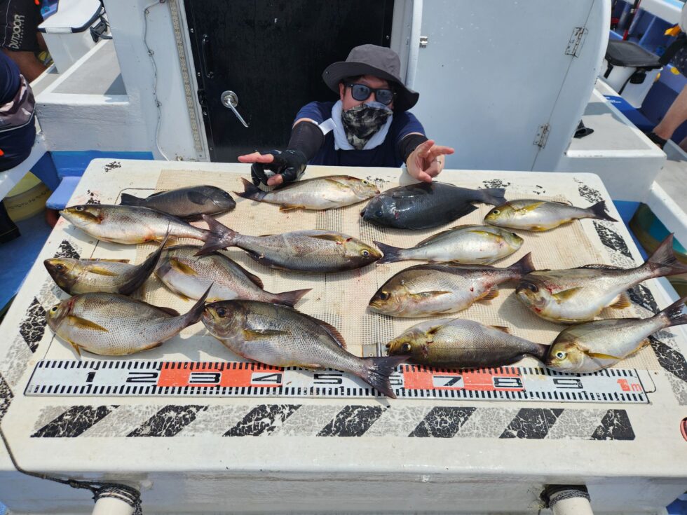 明日(月)イサキ釣り、テンヤタチウオ、出船確定!