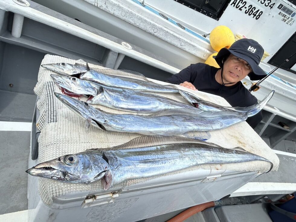 伊良湖水道大型タチウオチャンス！