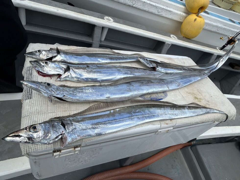明日(金)朝の飛び入りOKです
