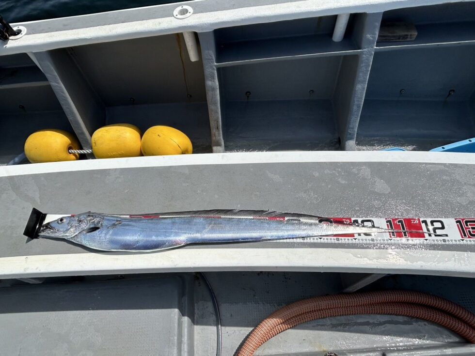 連日のドラゴン狩り！