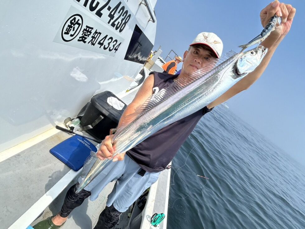 伊良湖水道大型タチウオ活発ー！