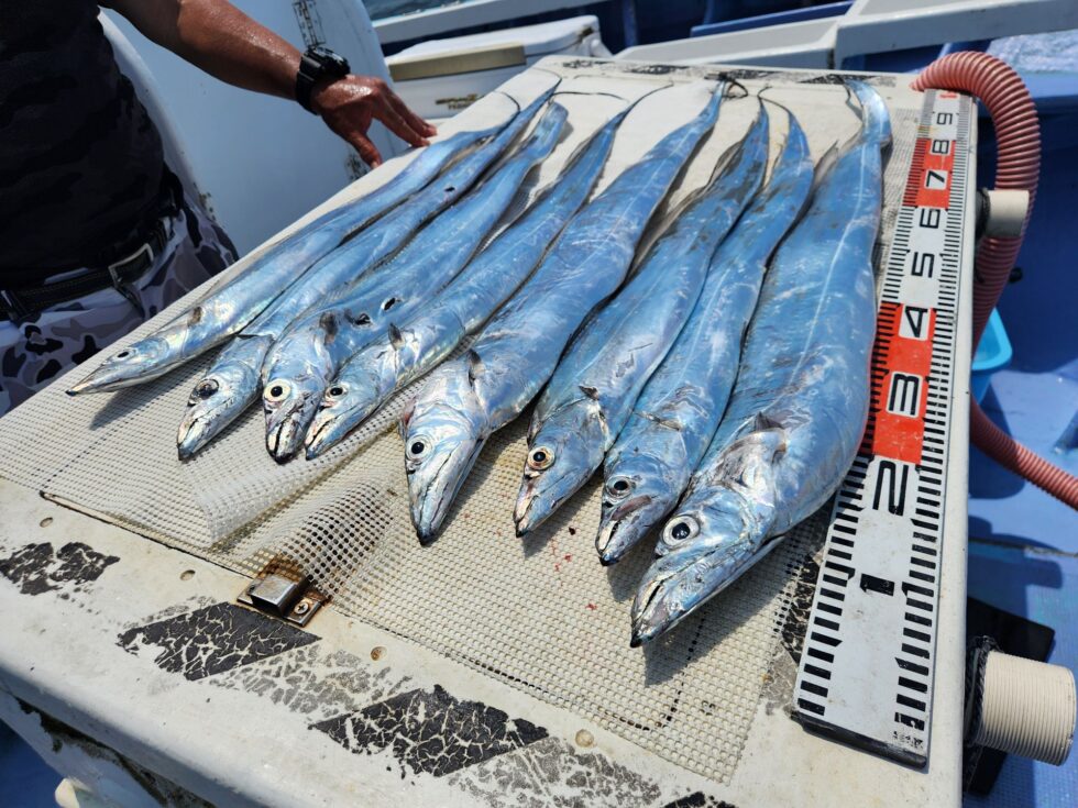 明日も空き多数、朝の飛び入りOK