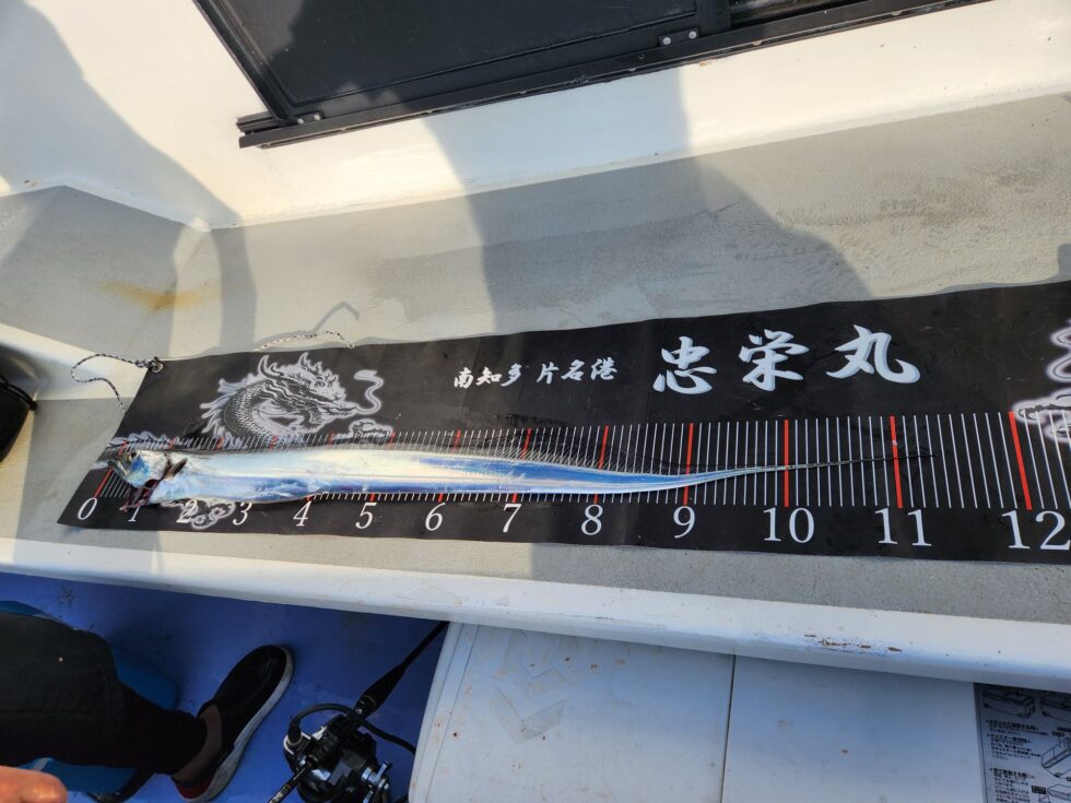 大型タチウオ豪快！