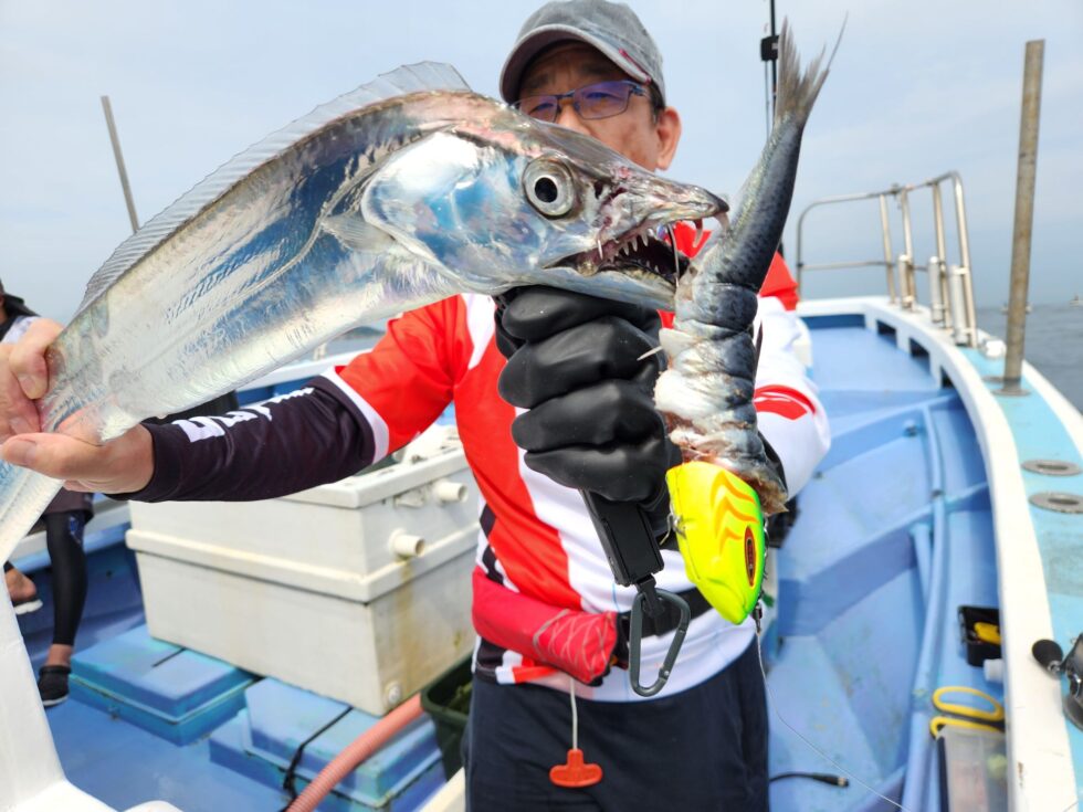 明日(日)もお楽しみに！