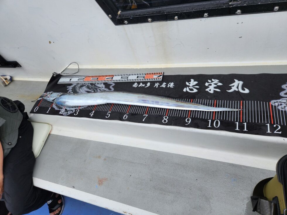 尾切れで110㎝！尾があれば確実にドラゴンでしたね