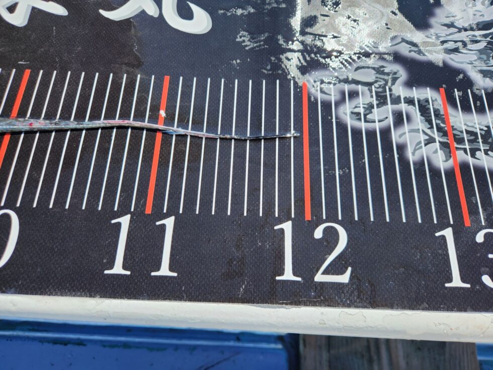 119㎝！ドラゴンまであと１㎝！