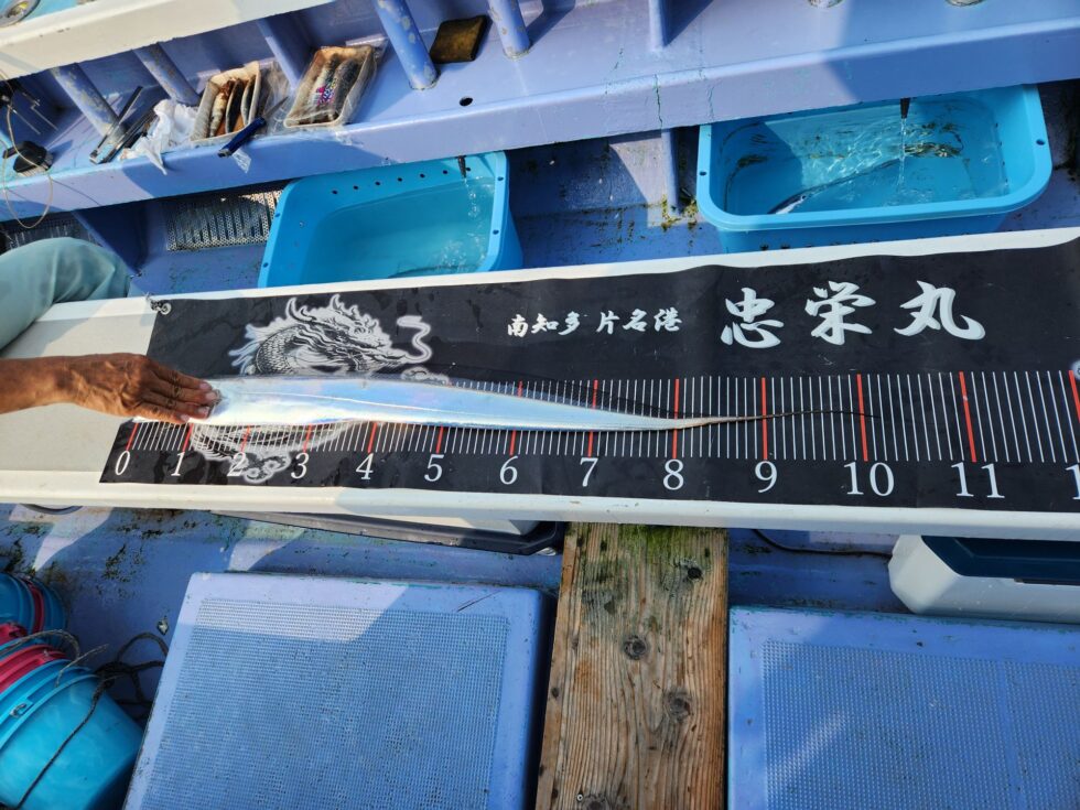 明日(火)２隻分乗します。