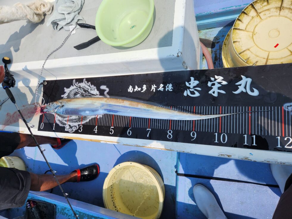 118㎝デブゴン！