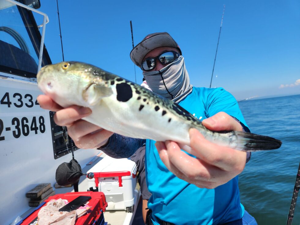 テンヤタチウオ専門出船中！