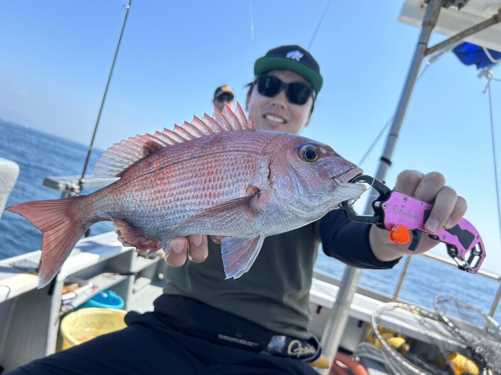 良いサイズの真鯛ゲットー！引きが凄い！