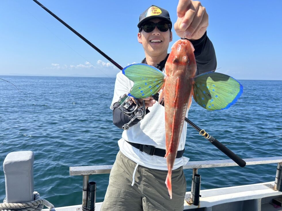 活きエビで多彩な魚！