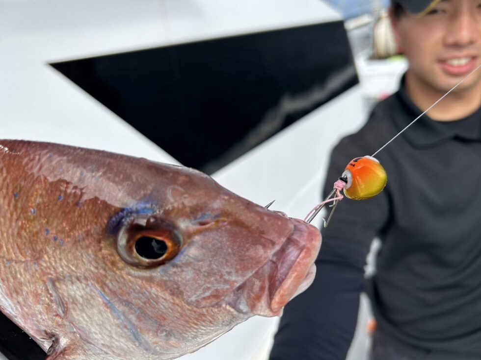 やったらハマる一つテンヤ真鯛！