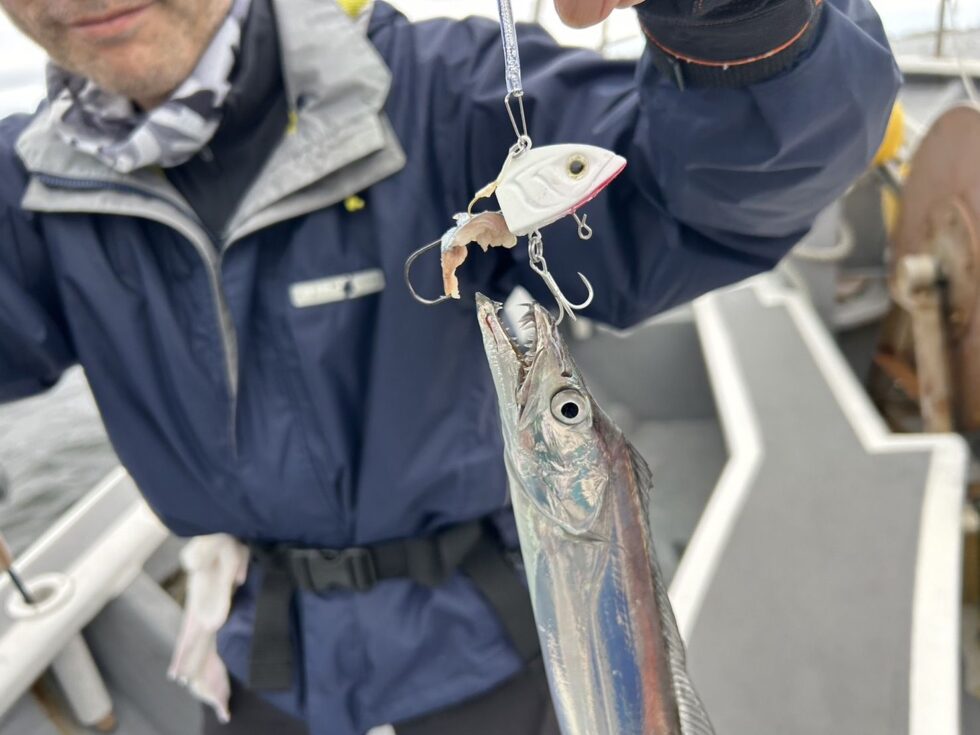 午後便、イシグロさんのサーベルテンヤで！