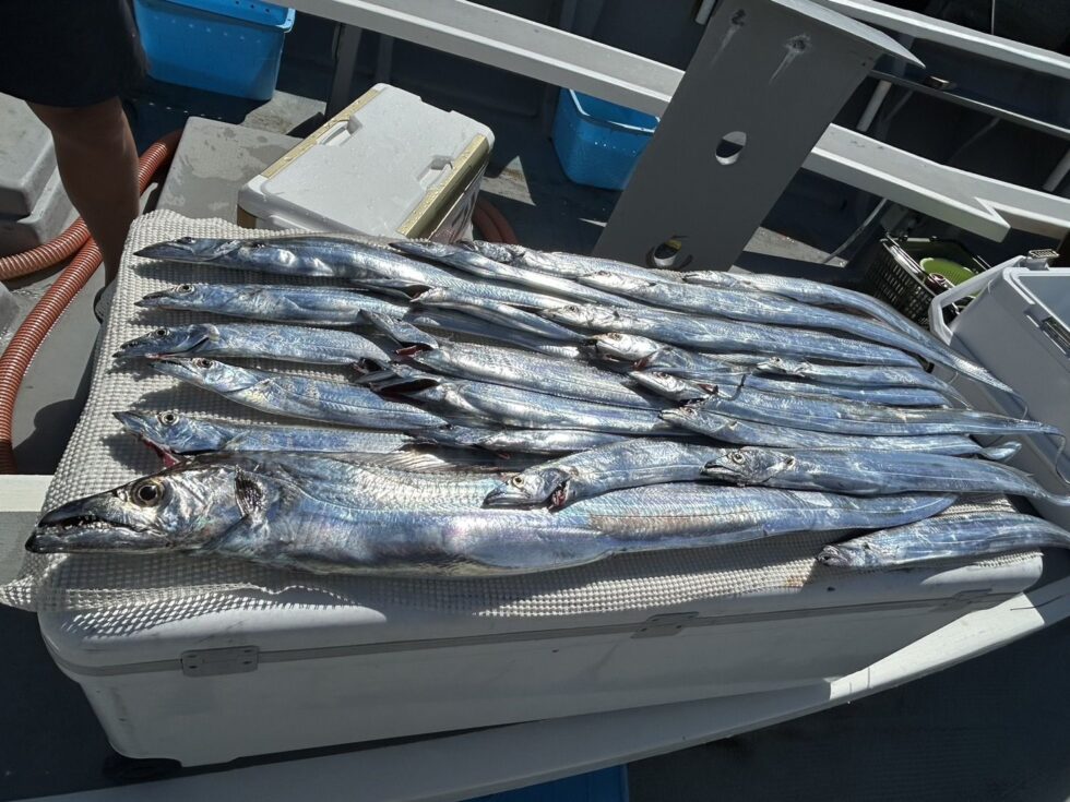 明日(月)朝便、空き多数、人数増えたら２隻分乗です、予約お待ちしてます