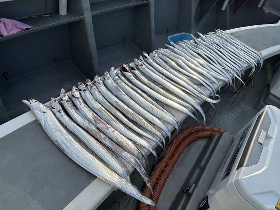 午後ショート便も急げっ！短期出船です！