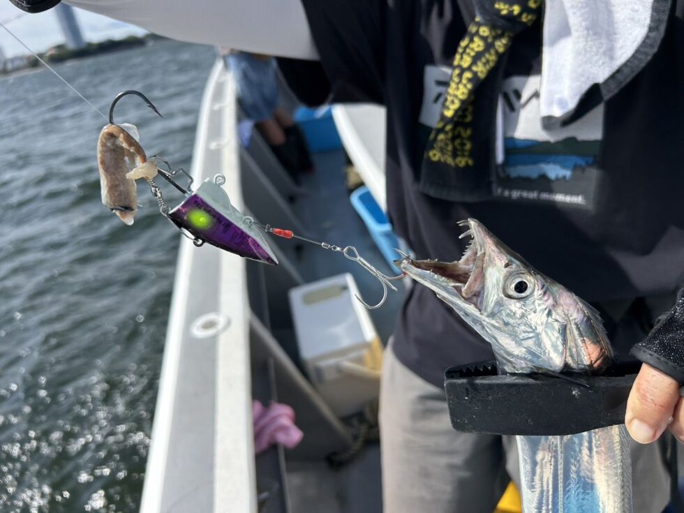 サーベルテンヤで！