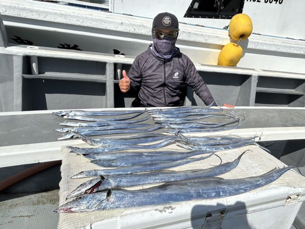 いよいよ最盛期突入！