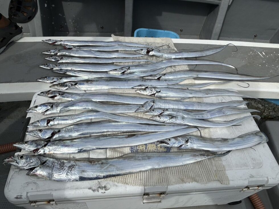 朝便明日(水)もかなり空き多数、朝の飛び入りOK