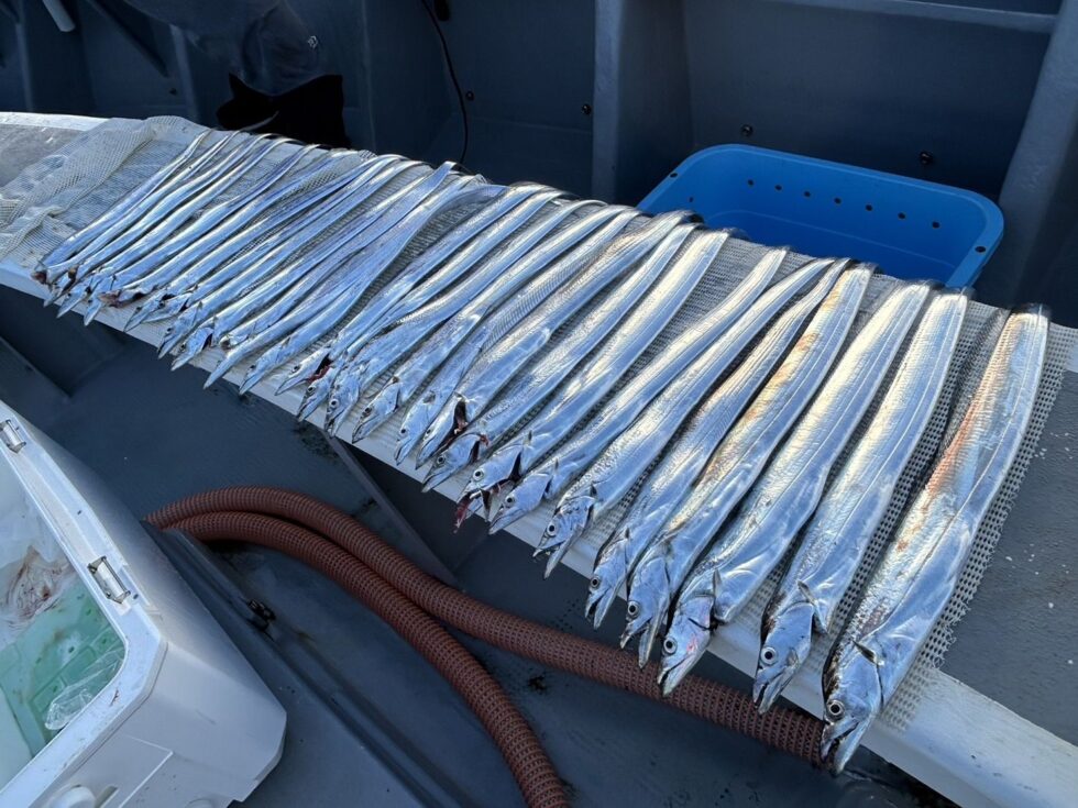 午後ショート便入れ食い