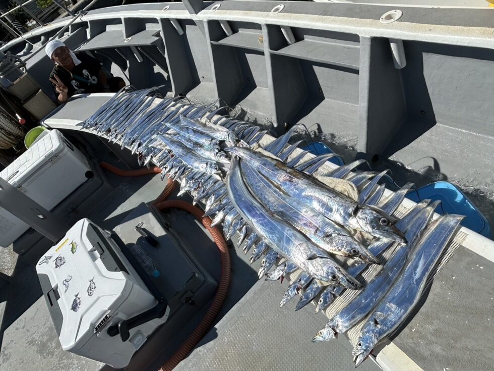 お一人で凄い数!ドラゴン級も釣りあげ素晴らしい釣果!テンヤでこの数は凄いですね