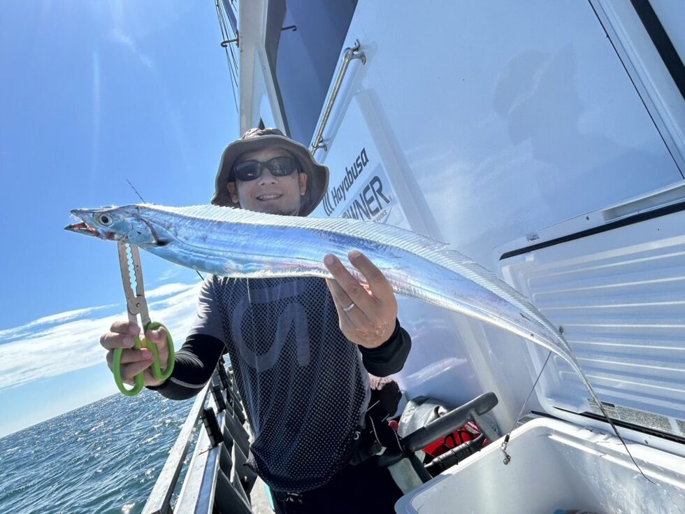 伊良湖水道タチウオが大チャンス到来!