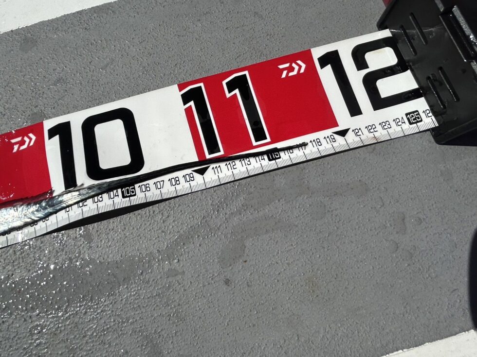 今日も120㎝ドラゴンまであと2㎝でした