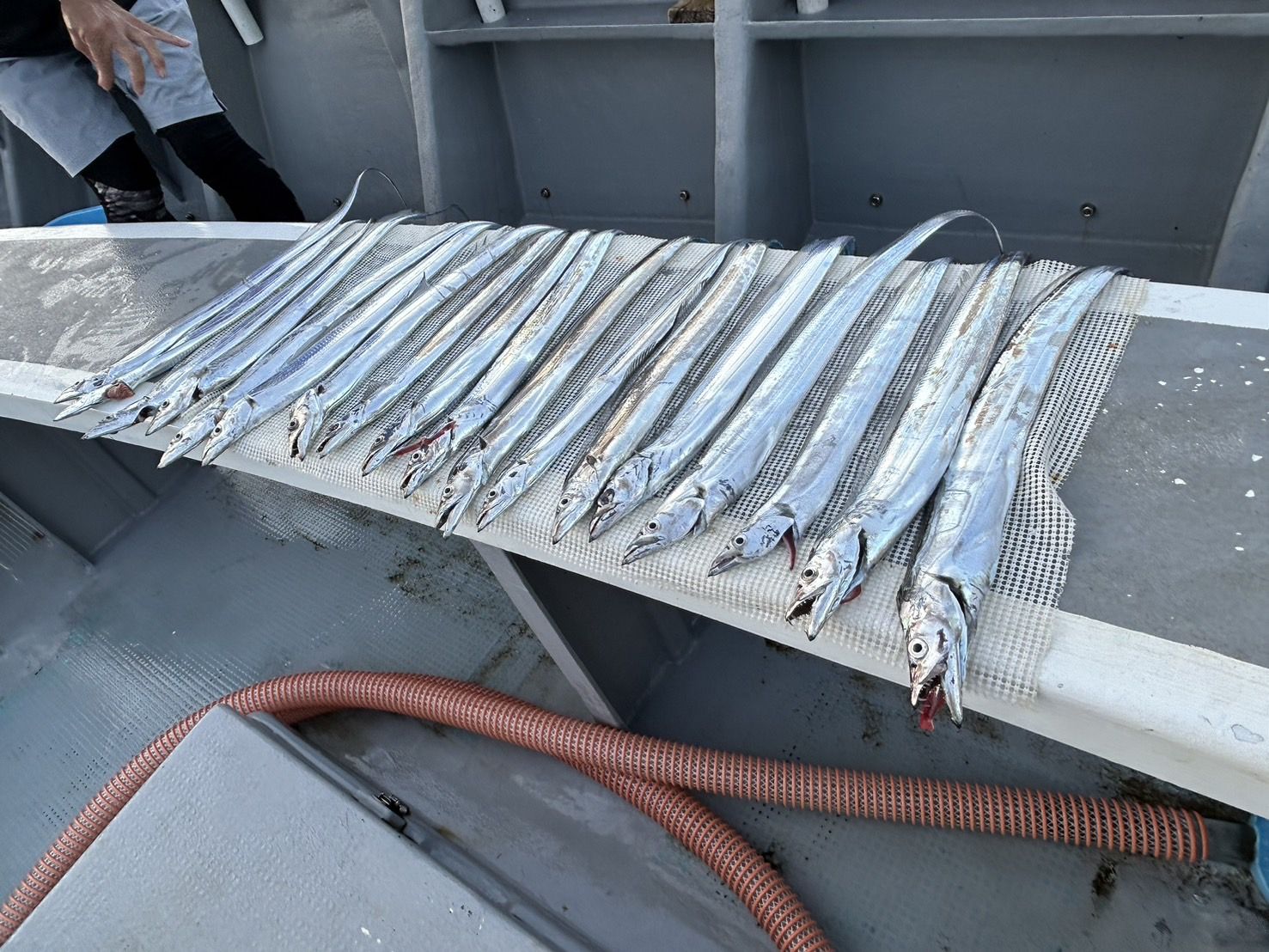 3時間ショートコース