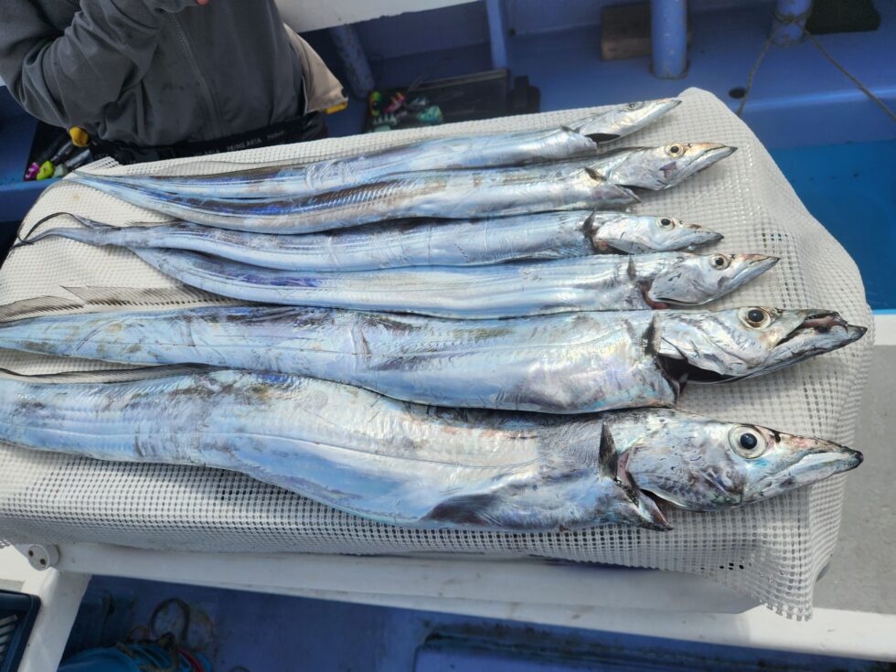 明日(金)空き多数、