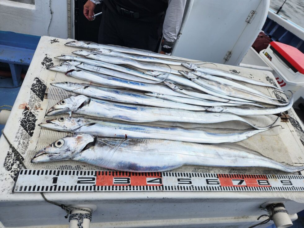 明日からも極太ドラゴン仕留めましょう!