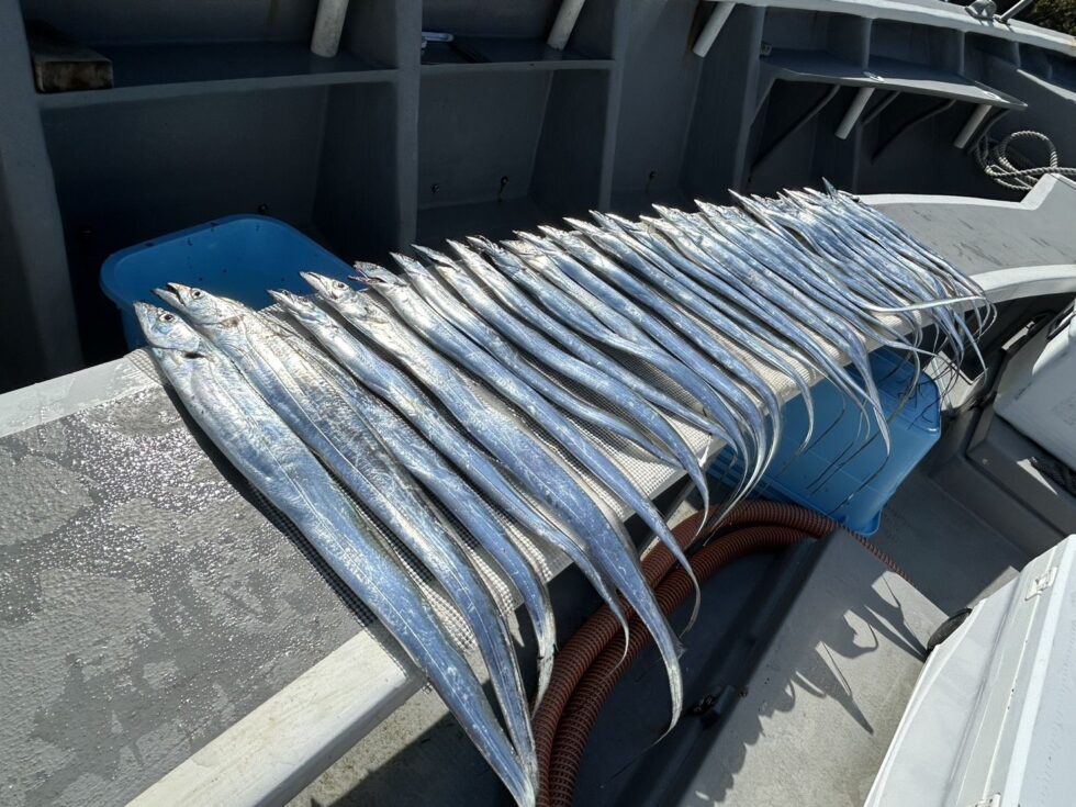 テンタチゲーム！