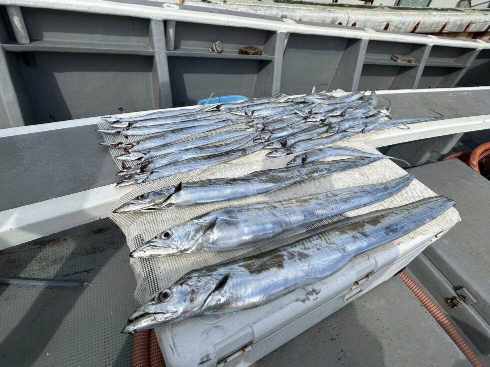 ２隻分乗、少人数で出船でした