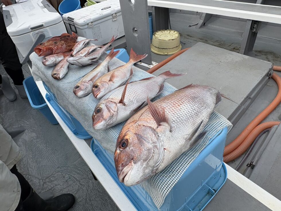 春からのリピーターさん。病みつきですね。