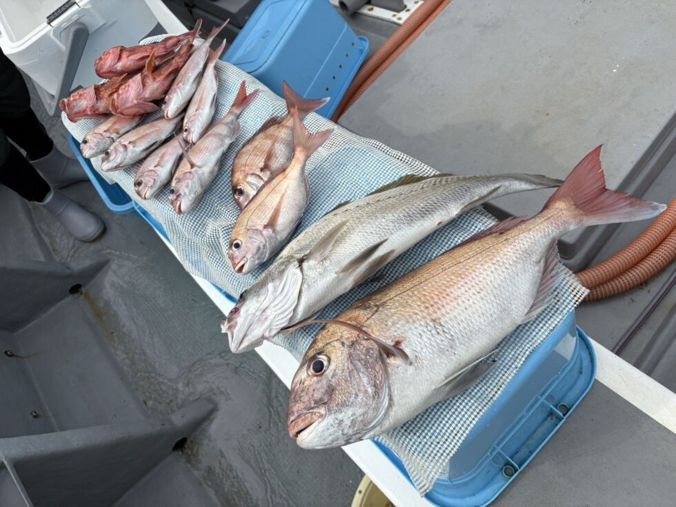 伊勢湾一つテンヤ、ウタセ五目も予約受付中！